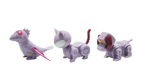 capsule toy